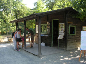 servicios bosque de orgi